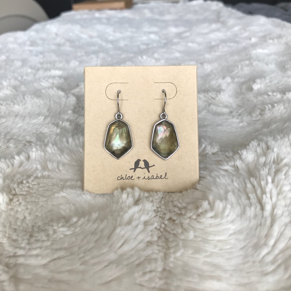 Chloe + Isabel Drop Earrings
